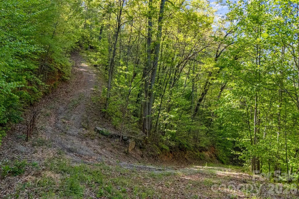 785 Laurel Spring Drive Bryson City, NC 28713