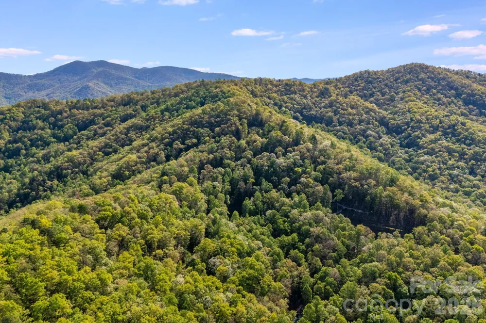 785 Laurel Spring Drive Bryson City, NC 28713