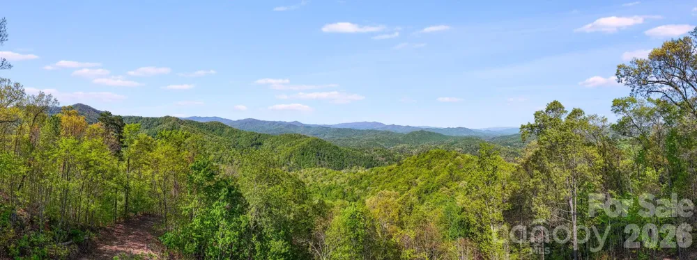 785 Laurel Spring Drive Bryson City, NC 28713