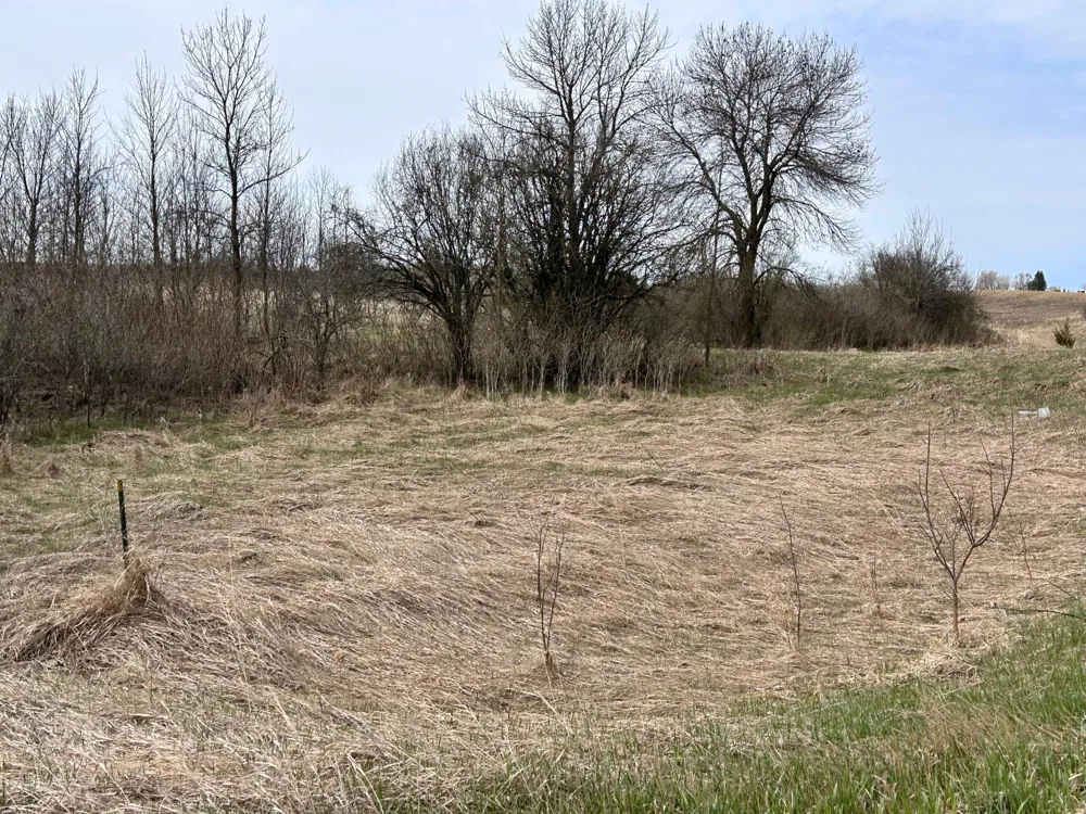 Lot 20 215th Street Barrett, MN 56311
