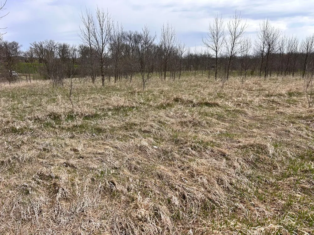 Lot 20 215th Street Barrett, MN 56311