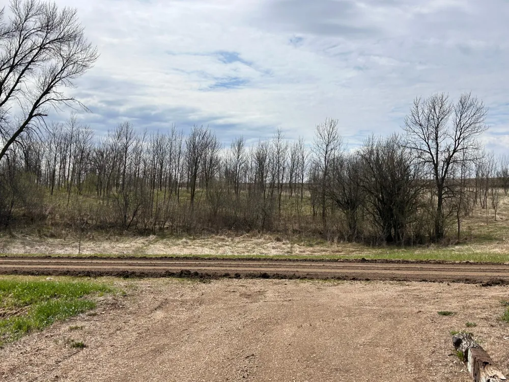Lot 20 215th Street Barrett, MN 56311