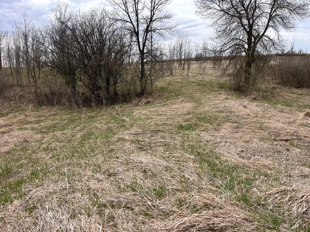 Lot 20 215th Street Barrett, MN 56311