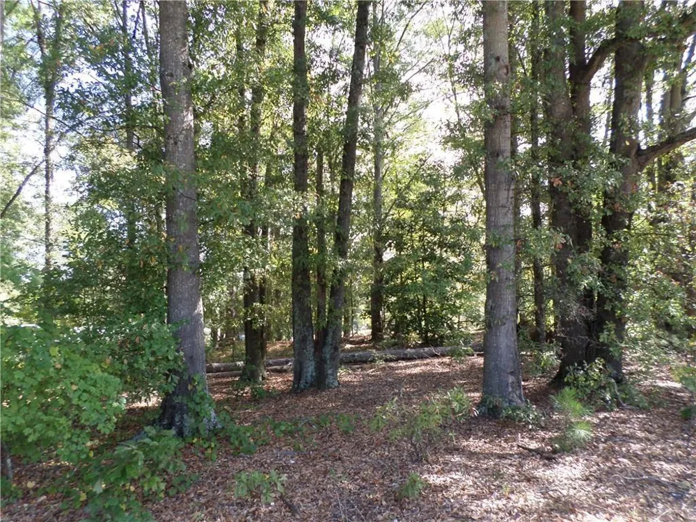 4595 Austell Powder Springs Road Powder Springs, GA 30127