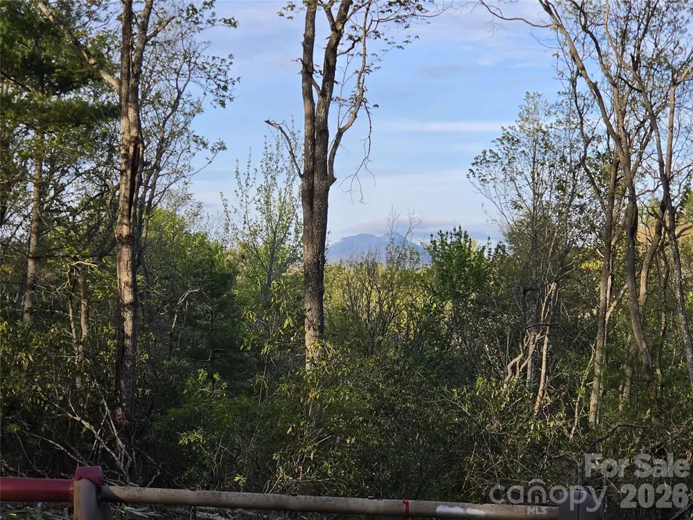 692 Buck Hill Road Newland, NC 28657