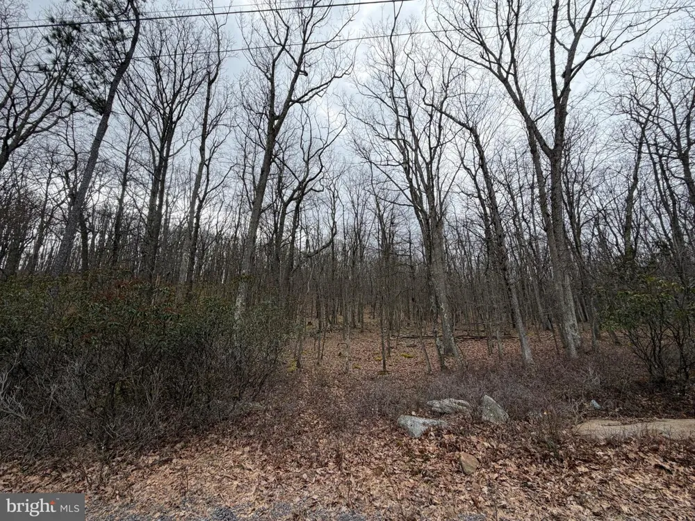 463 SPRING MOUNTAIN DR Zion Grove, PA 17985