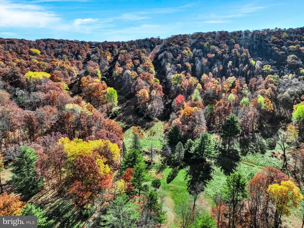 463 SPRING MOUNTAIN DR Zion Grove, PA 17985