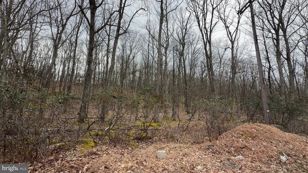 463 SPRING MOUNTAIN DR Zion Grove, PA 17985