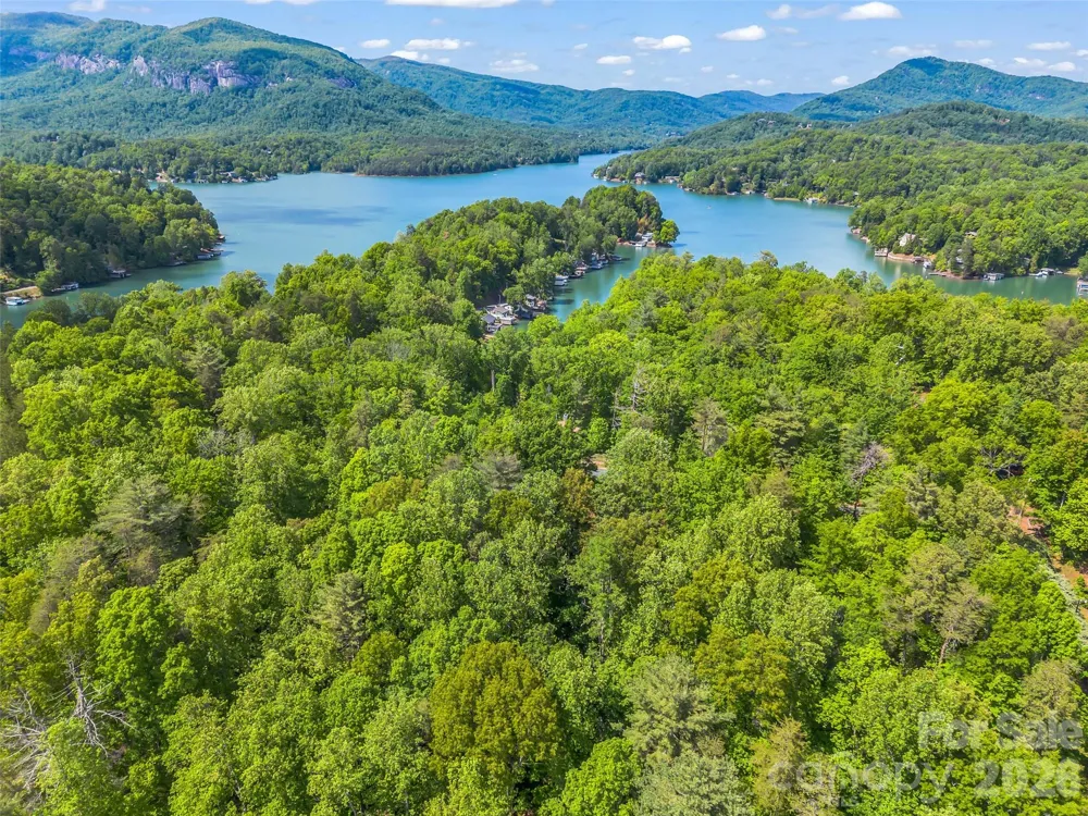 139 Picnic Point Road Lake Lure, NC 28746