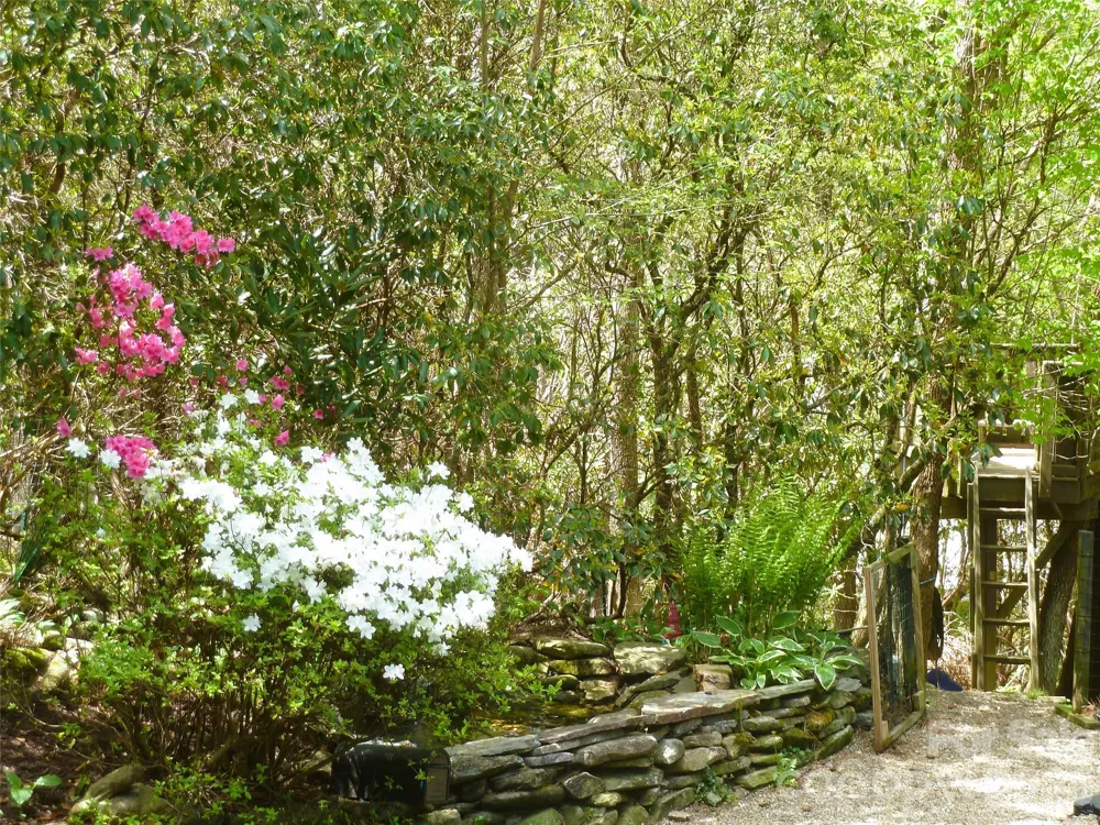 2698 Connestee Trail Brevard, NC 28712