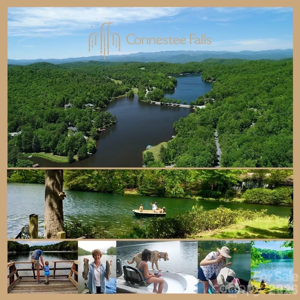 2698 Connestee Trail Brevard, NC 28712