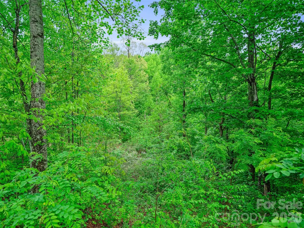 2380 Old Fort Road Black Mountain, NC 28711