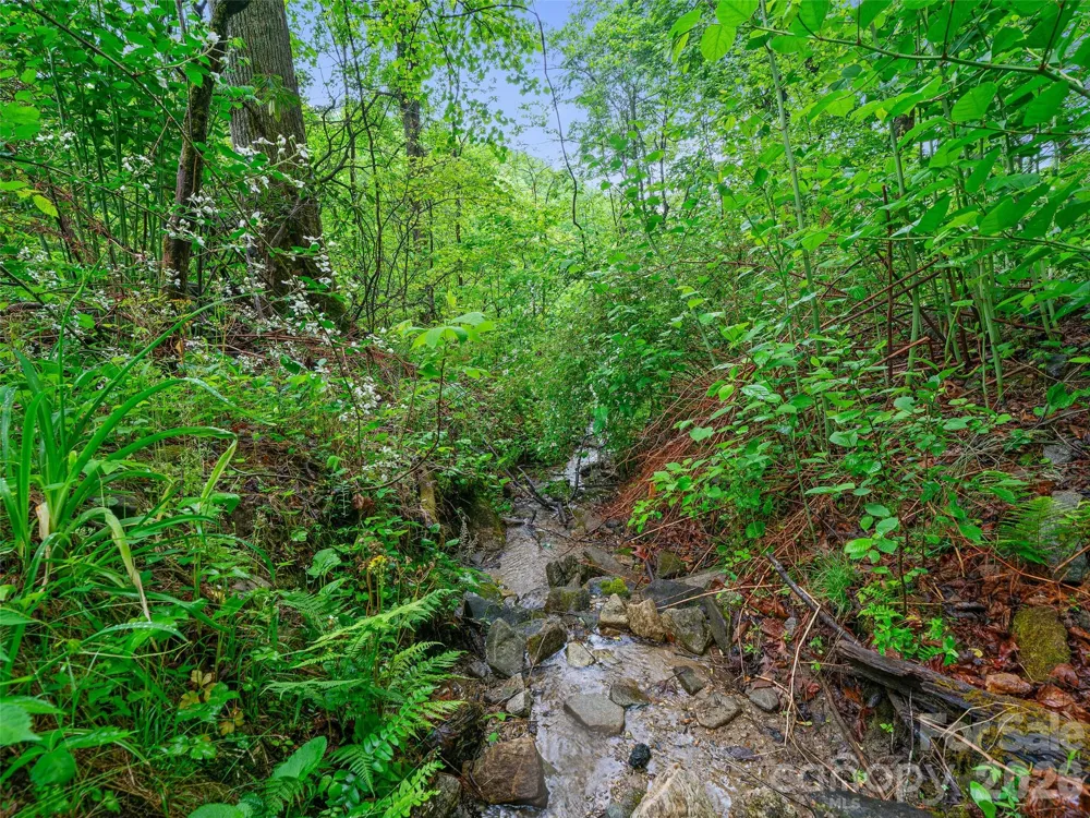 2380 Old Fort Road Black Mountain, NC 28711