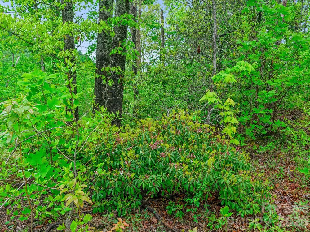 2380 Old Fort Road Black Mountain, NC 28711