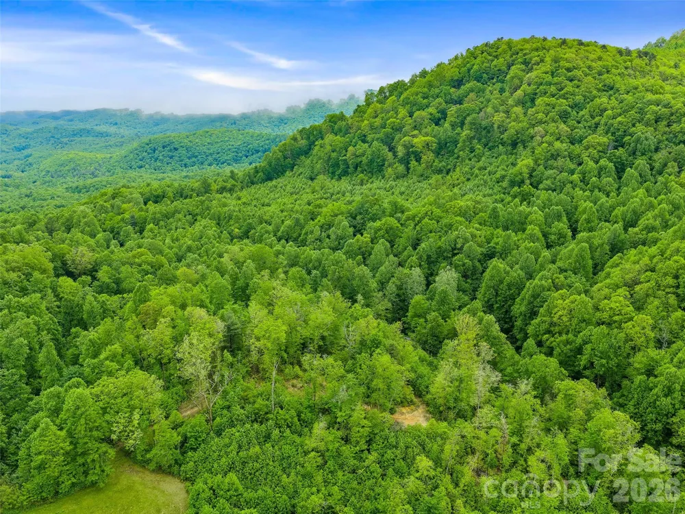 2380 Old Fort Road Black Mountain, NC 28711