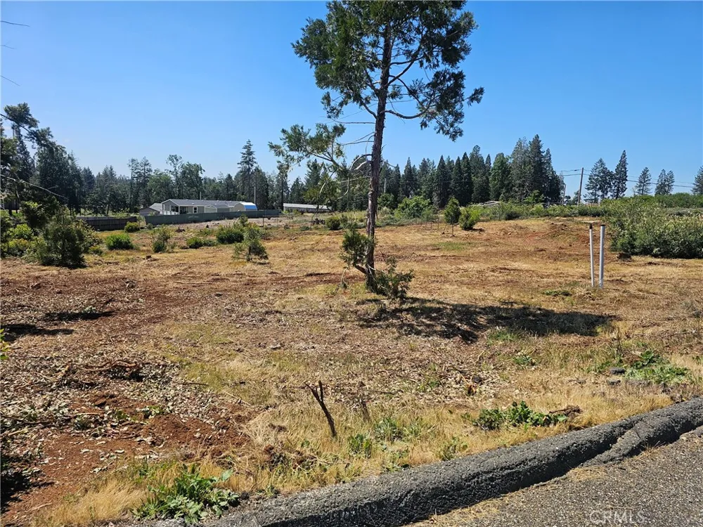 6468 Shaw Magalia, CA 95954
