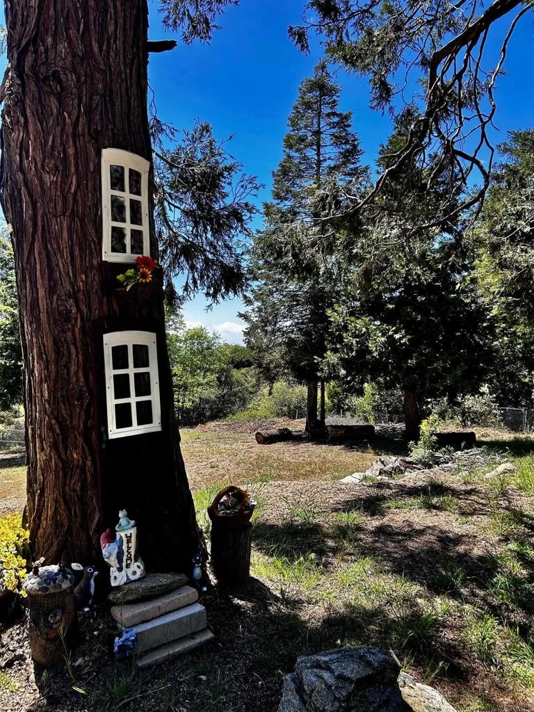 22223 Crestline Road Palomar Mountain, CA 92060