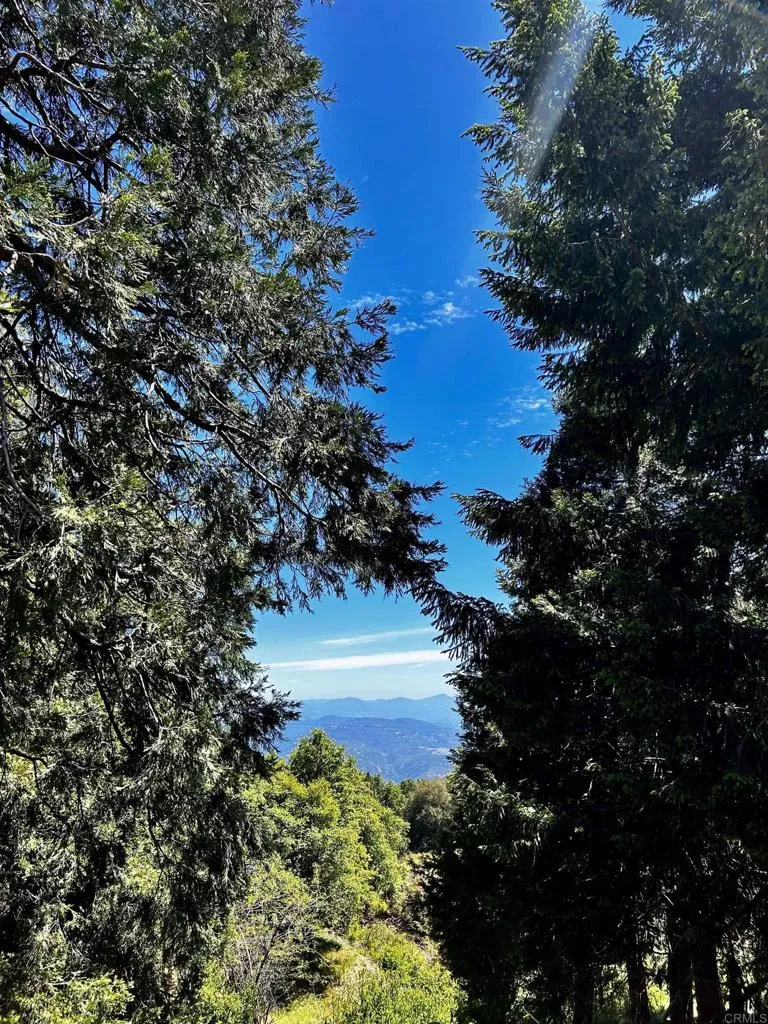 22223 Crestline Road Palomar Mountain, CA 92060