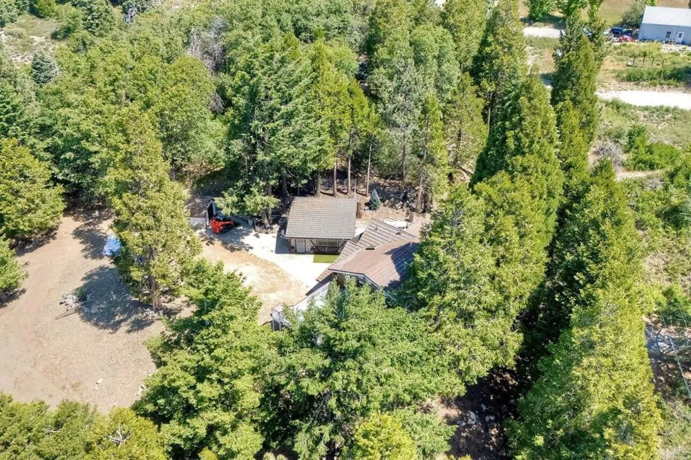 22223 Crestline Road Palomar Mountain, CA 92060