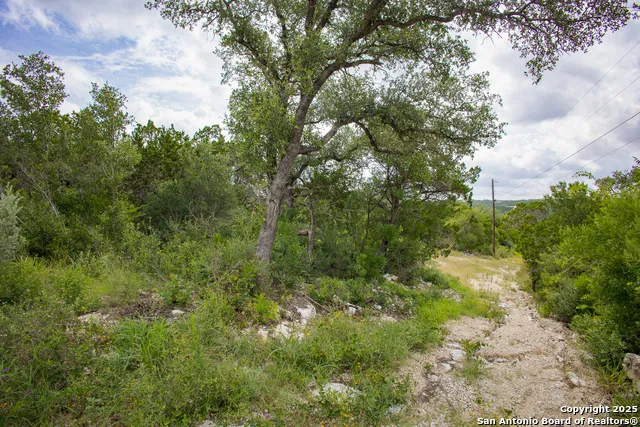 199 County Road 2733 Mico, TX 78056