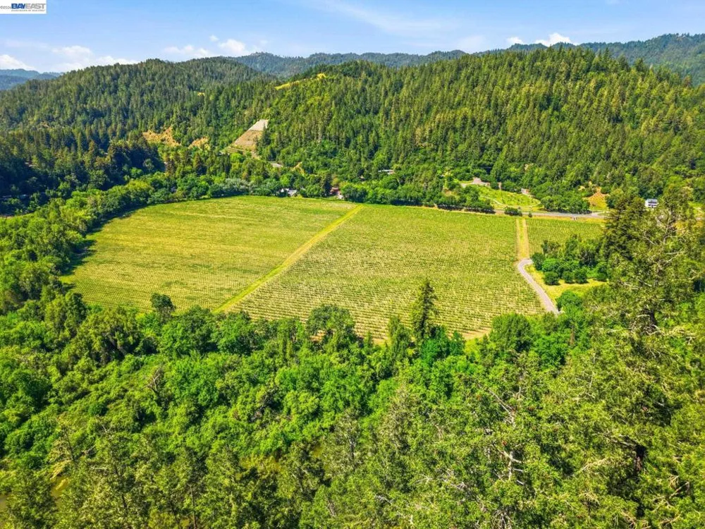11700 Oak Rd Forestville, CA 95436