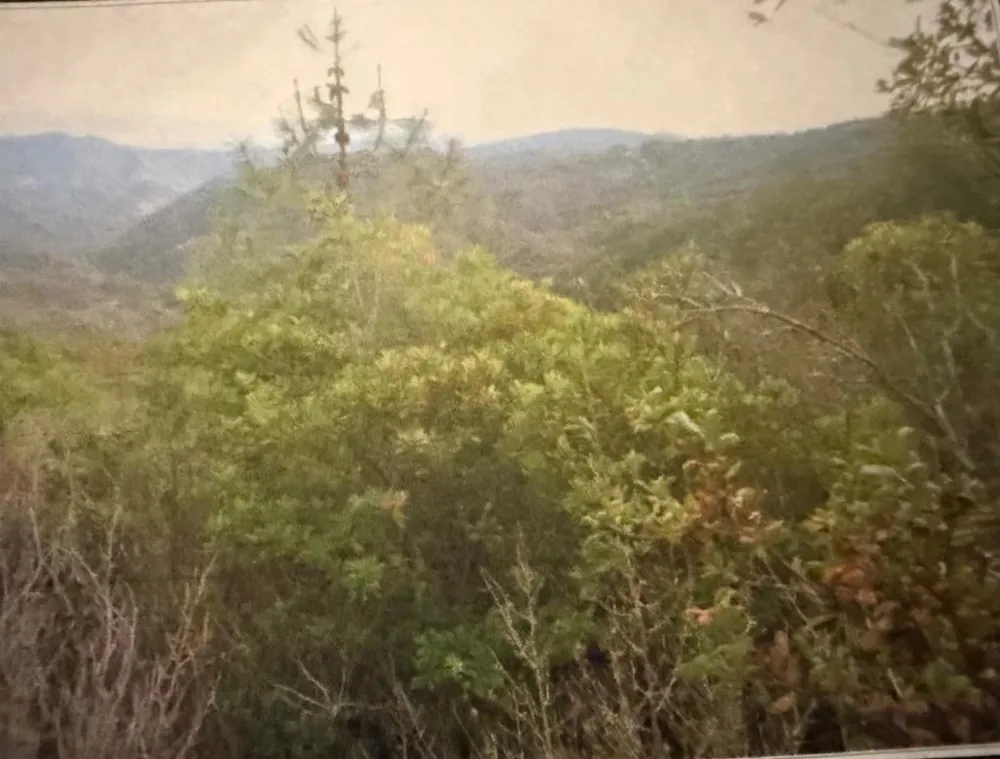 Croy Ridge Road Morgan Hill, CA 95037