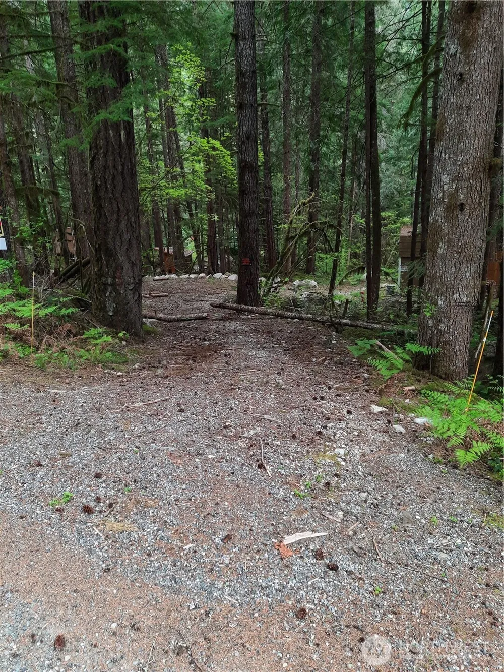 0 Cascade River Road Marblemount, WA 98263
