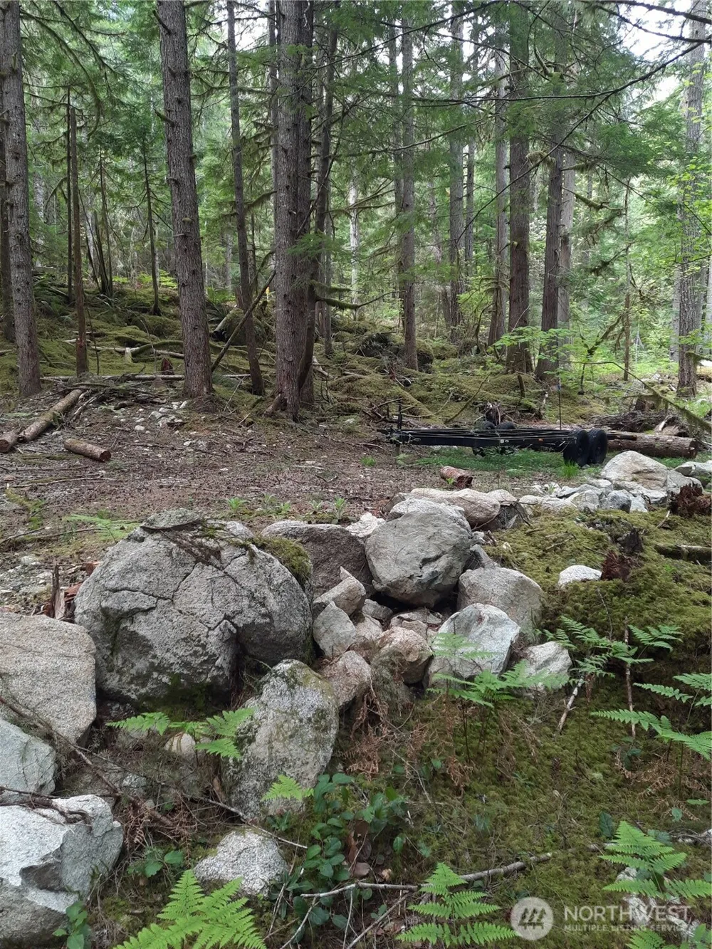 0 Cascade River Road Marblemount, WA 98263