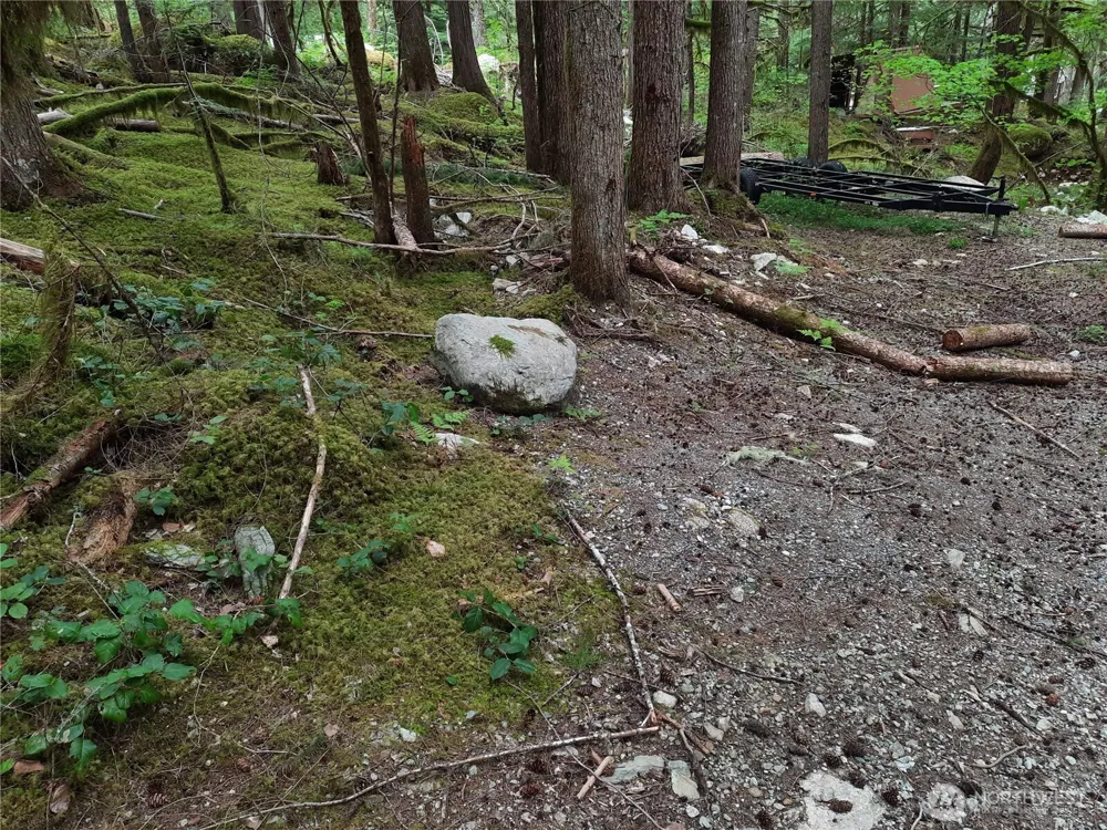 0 Cascade River Road Marblemount, WA 98263