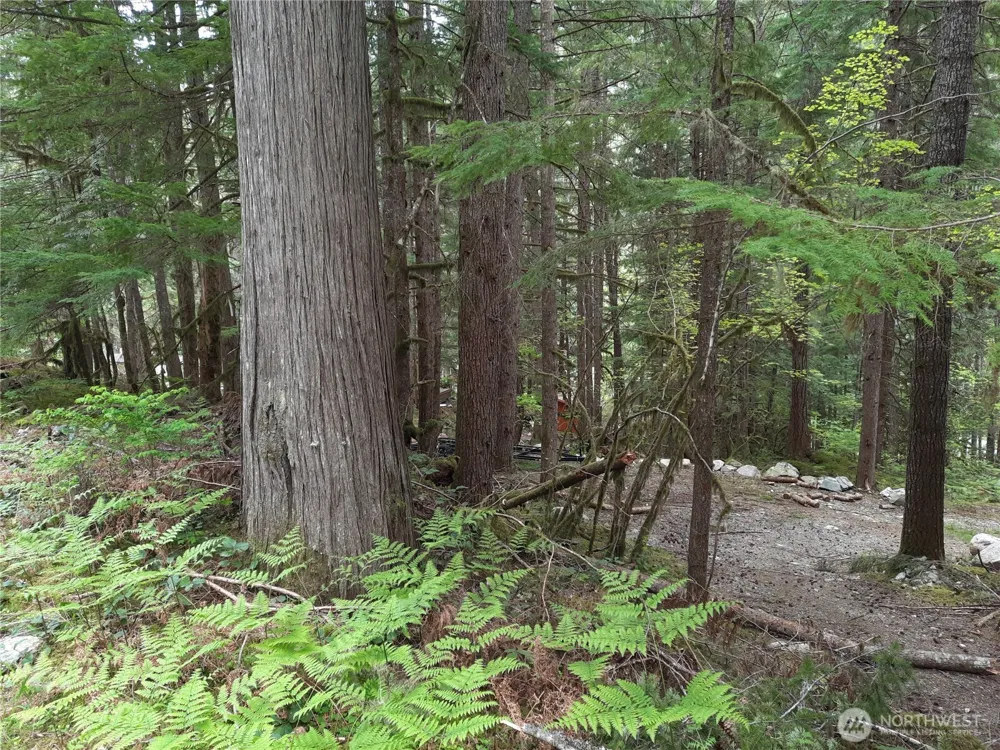 0 Cascade River Road Marblemount, WA 98263
