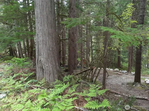 0 Cascade River Road