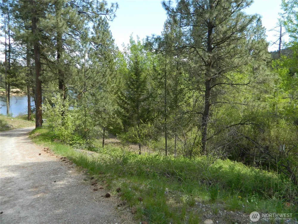 46 Little Bear Lane Tonasket, WA 98855