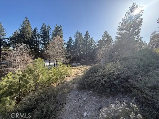 33263 Holcomb Creek Green Valley Lake, CA 92341