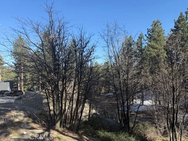 33263 Holcomb Creek Green Valley Lake, CA 92341