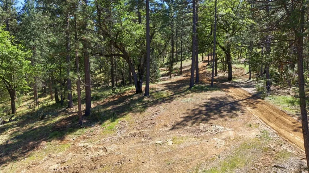21552 Sprague W Groveland, CA 95321
