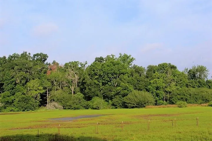 12789 E County Road 112 Centerville, TX 75833