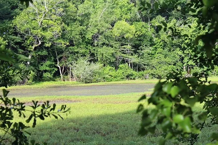 12789 E County Road 112 Centerville, TX 75833