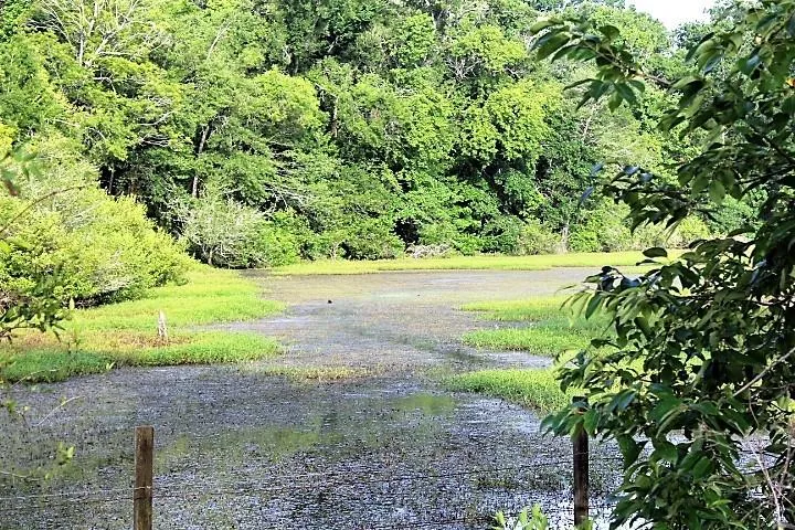 12789 E County Road 112 Centerville, TX 75833