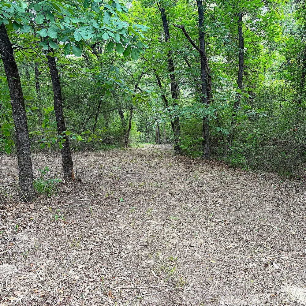 12789 E County Road 112 Centerville, TX 75833