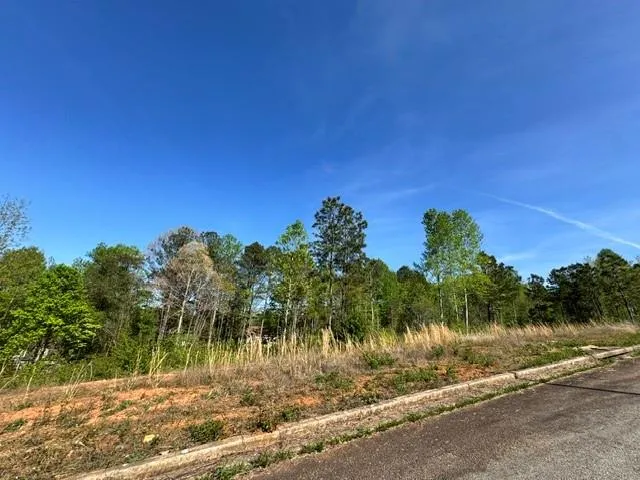 228 Oakdale Way Temple, GA 30179