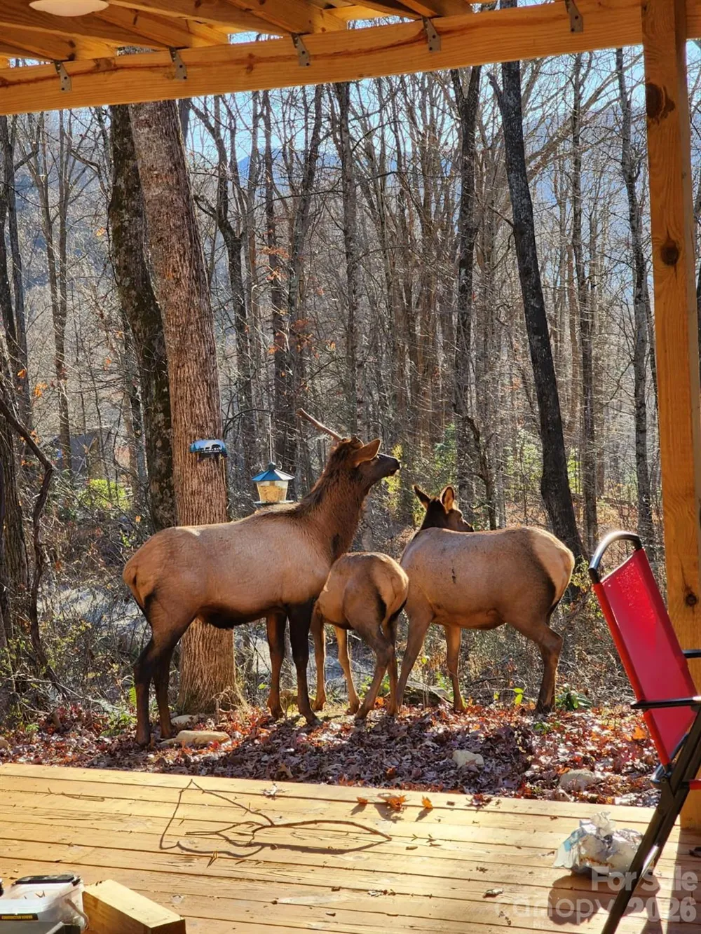 16 Standing Rock Ridge Maggie Valley, NC 28751