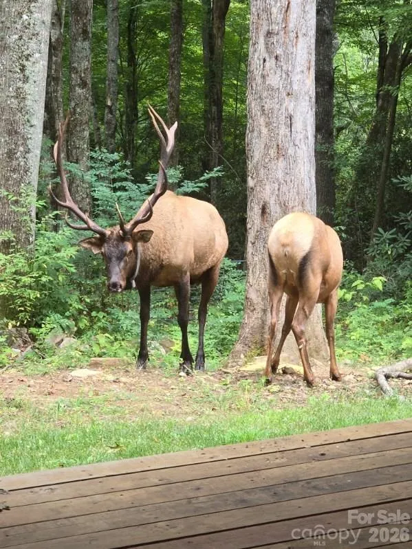16 Standing Rock Ridge Maggie Valley, NC 28751