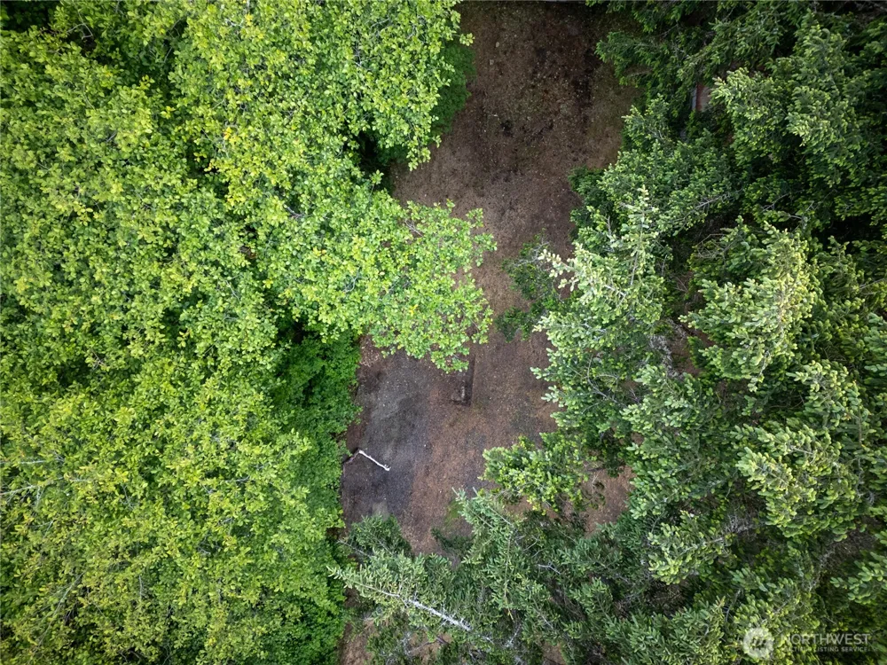 21 Lakeside Drive Copalis Beach, WA 98535