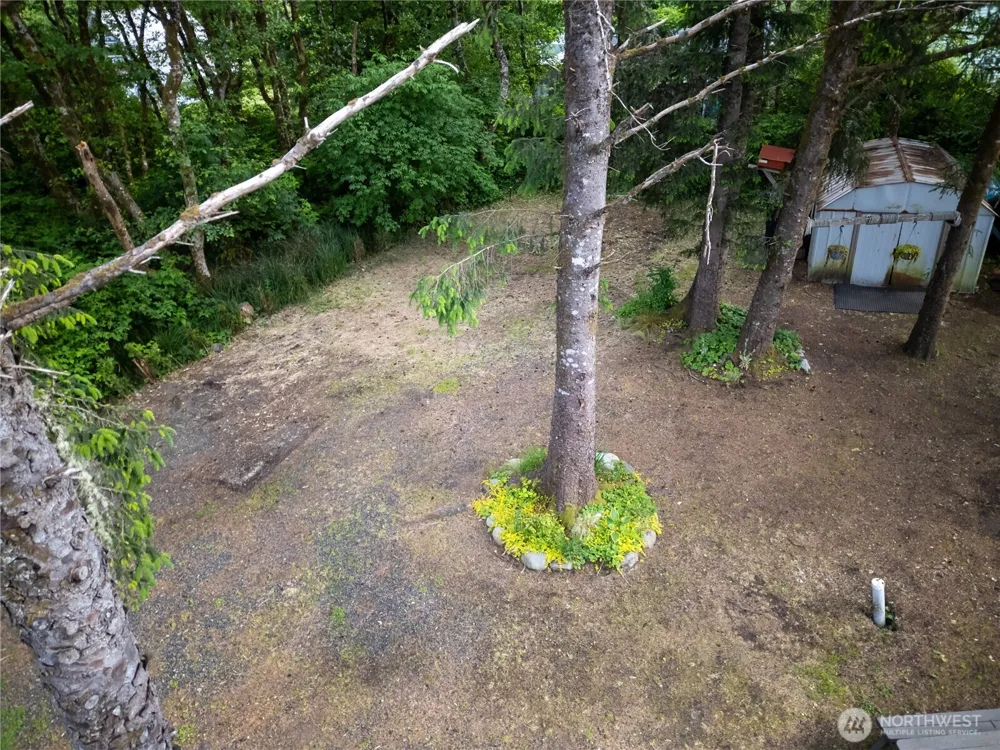 21 Lakeside Drive Copalis Beach, WA 98535
