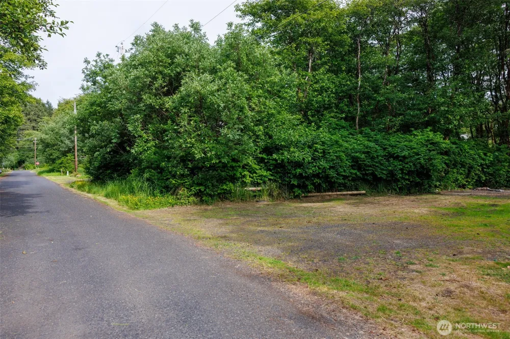 21 Lakeside Drive Copalis Beach, WA 98535