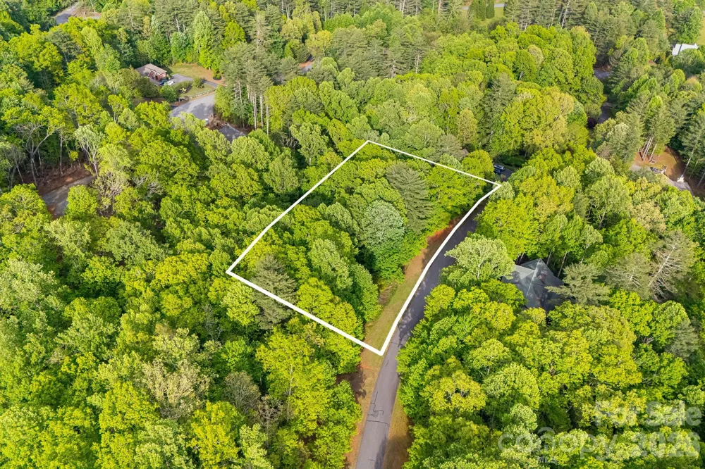 0000 Newcastle Road ##52 Brevard, NC 28712