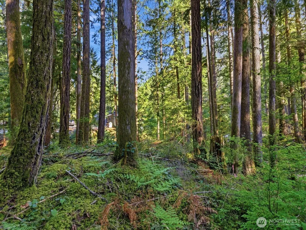 63424 W Cascade Way Marblemount, WA 98267