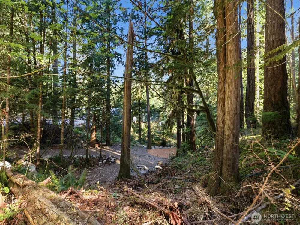 63424 W Cascade Way Marblemount, WA 98267