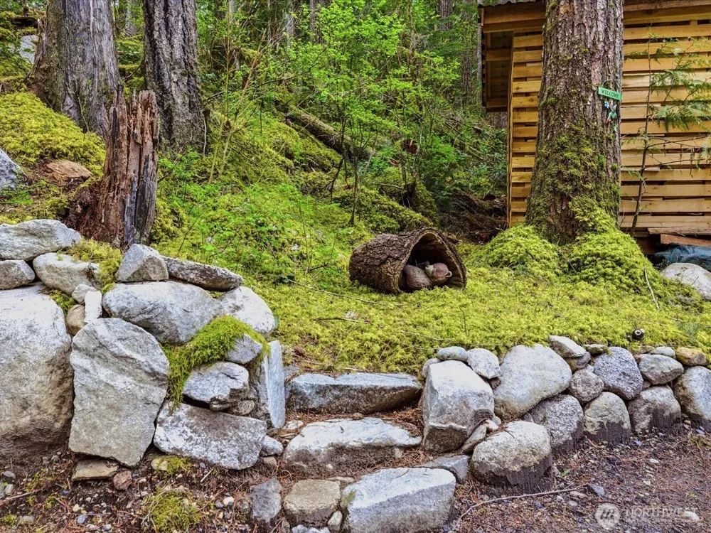 63424 W Cascade Way Marblemount, WA 98267