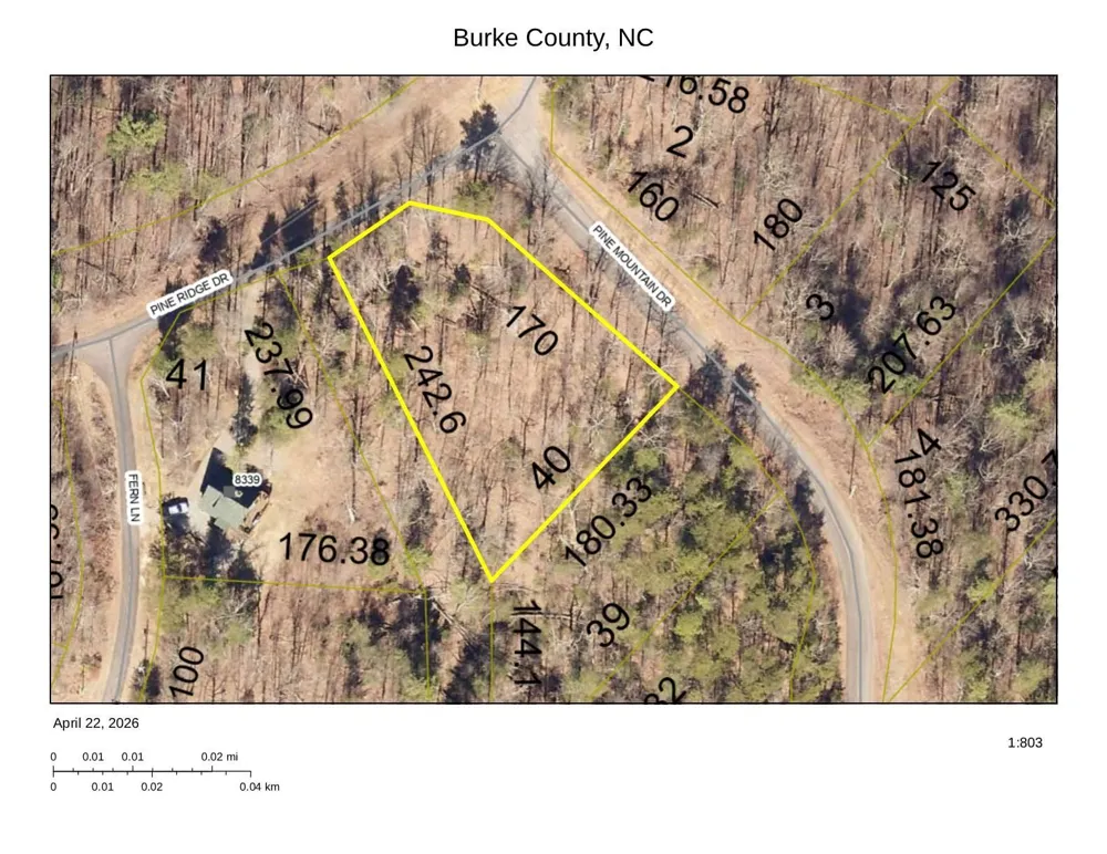 1034 Pine Mountain Drive Connelly Springs, NC 28612